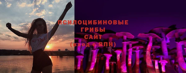 ПСИЛОЦИБИНОВЫЕ ГРИБЫ Навашино