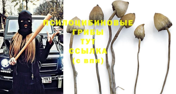 прущая мука Нея