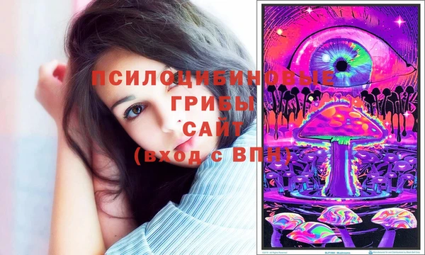 тгк Нефтекумск