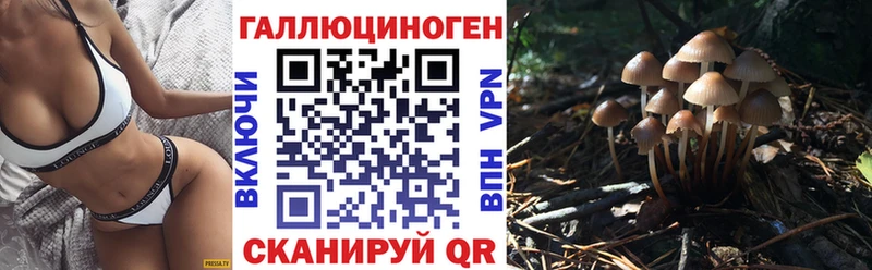 Галлюциногенные грибы Psilocybe  Белоозёрский 